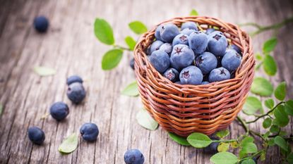The Remarkable Health Benefits of Blueberries